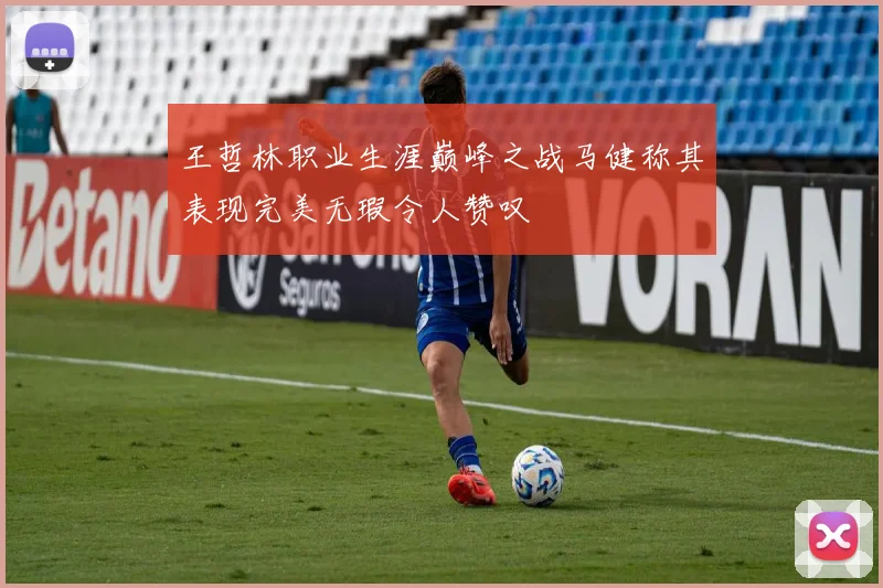 王哲林职业生涯巅峰之战马健称其表现完美无瑕令人赞叹
